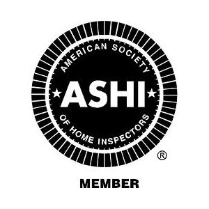 The ASHI logo